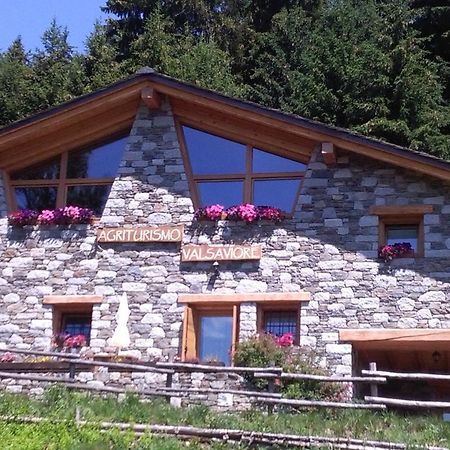Agriturismo Valsaviore Cevo ภายนอก รูปภาพ